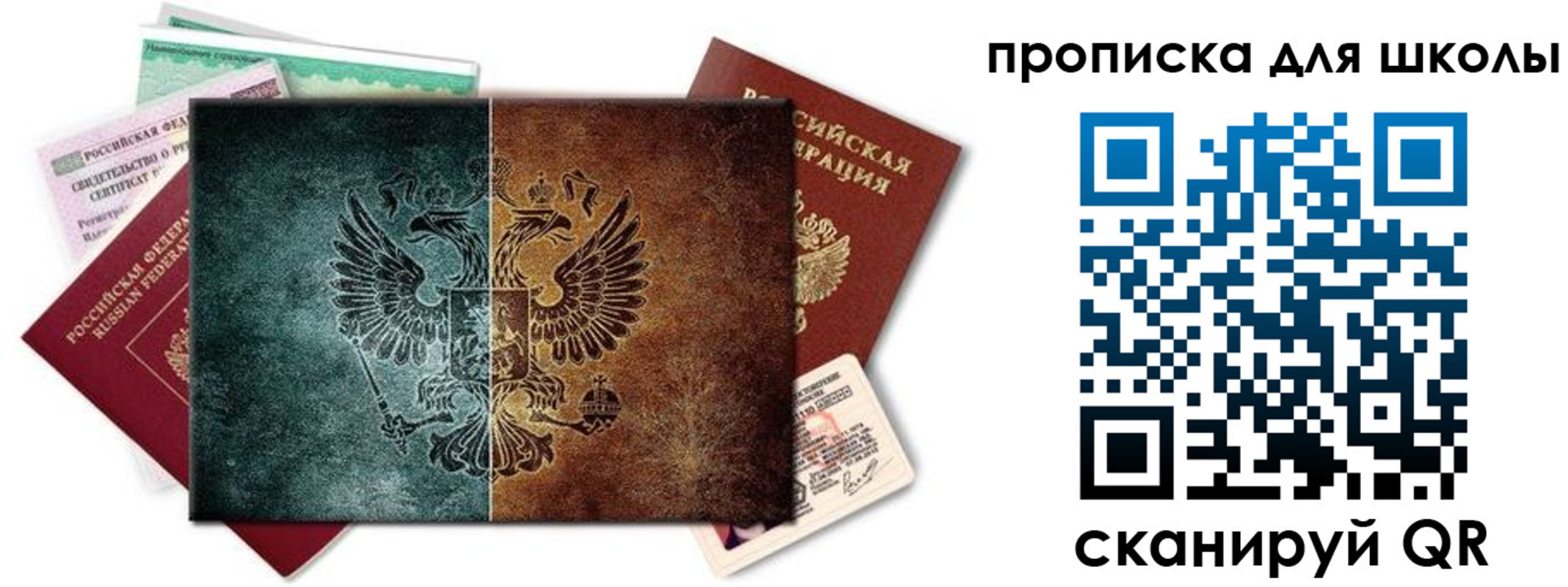 прописка гарантия в Сафоново